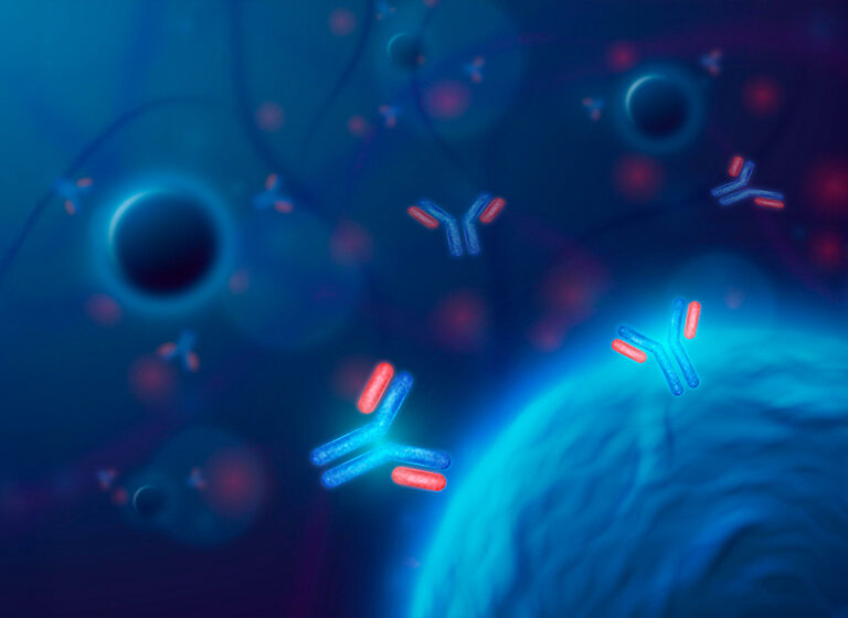 Antibody-Drug Conjugates (ADC)